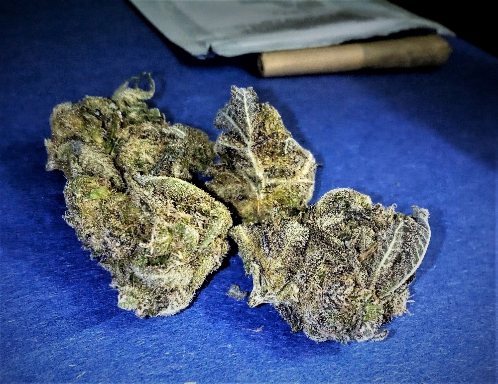 Cannabis Reviews – Blue Magoo
