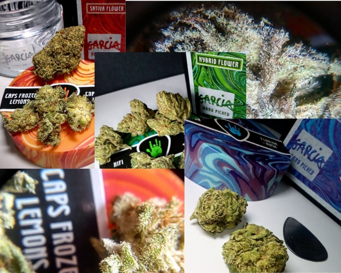 Cannabis Reviews – Garcia Hand Picked Flower