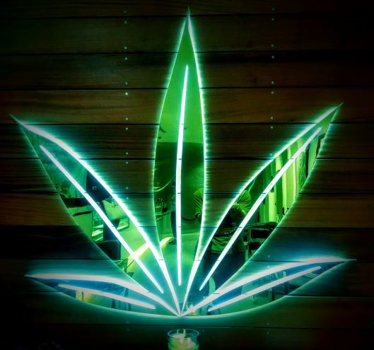Let's Enjoy Cannabis